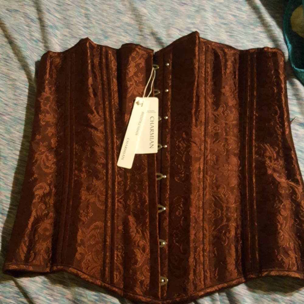 Beautiful full bodice corset